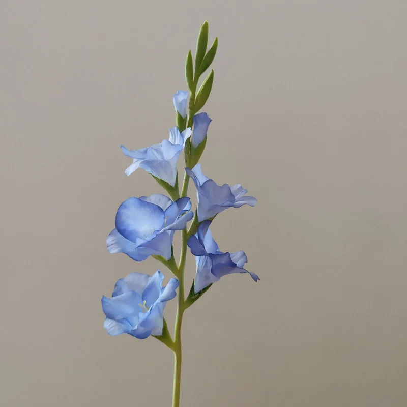 Orchid Floral Stem