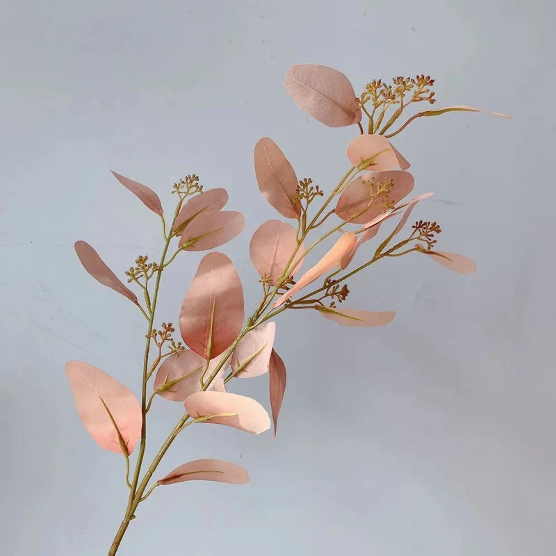 Natural Eucalyptus Stem