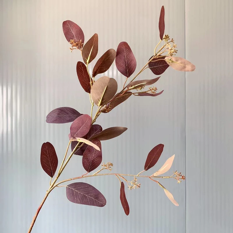 Natural Eucalyptus Stem