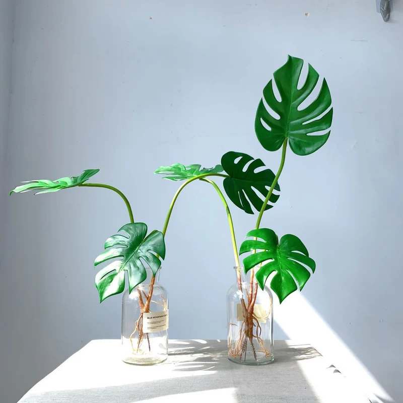 Monstera Leaf Decorative Stem