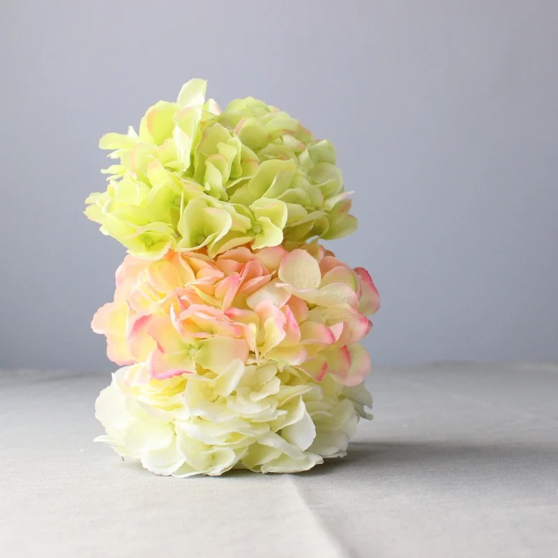 Lush Decorative Hydrangea Blossom