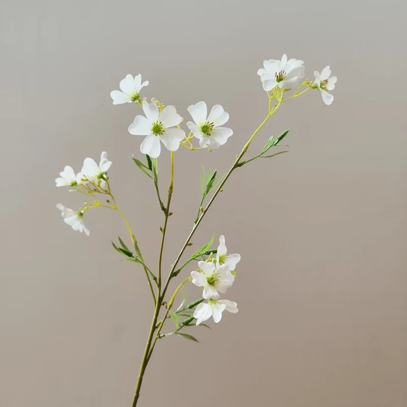 Lifelike Tropical Flower Stem