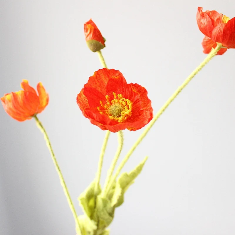 Lifelike Poppy Flower Stem