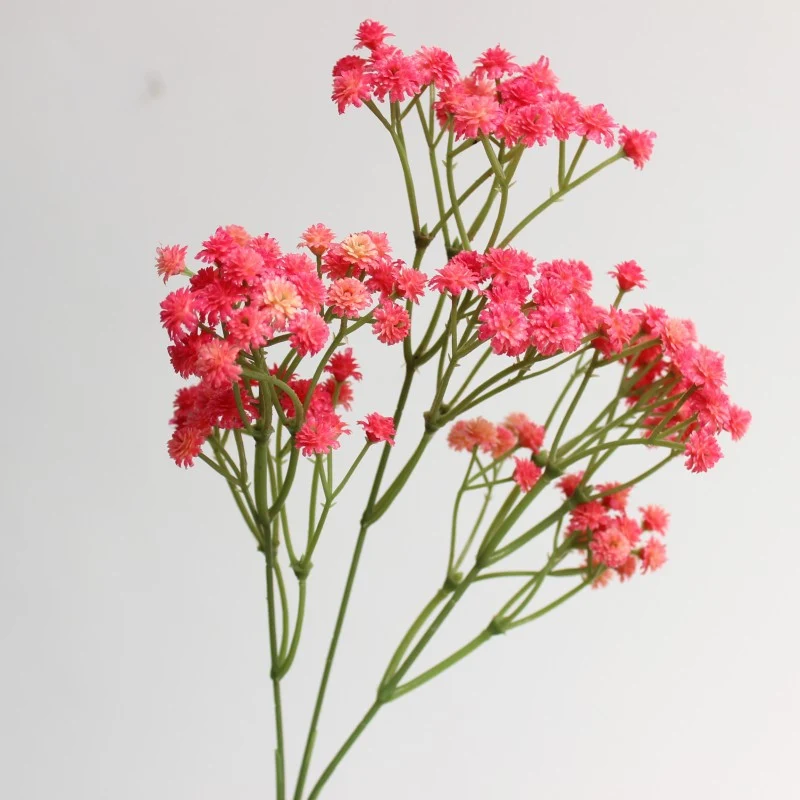 Decorative Floral Arrangement