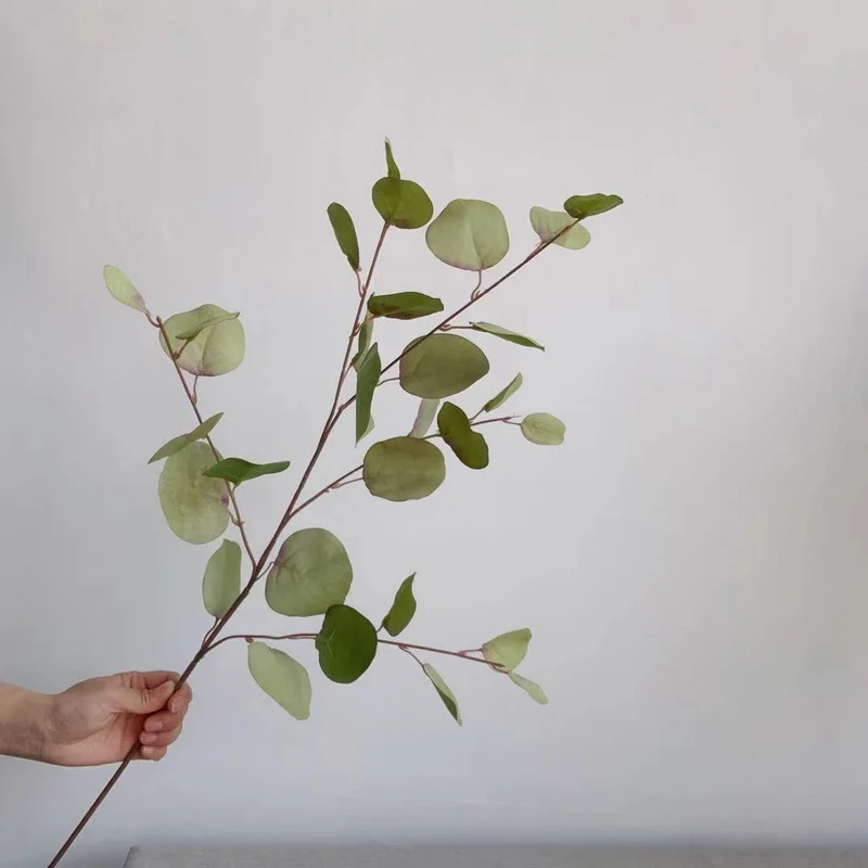 Decorative Eucalyptus Stem