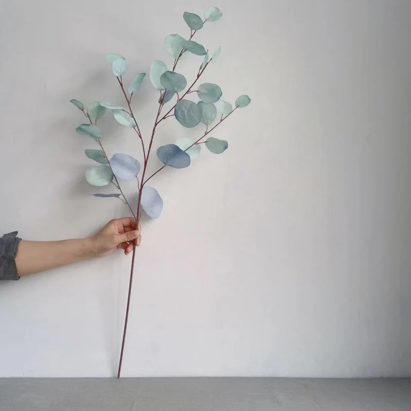 Decorative Eucalyptus Stem