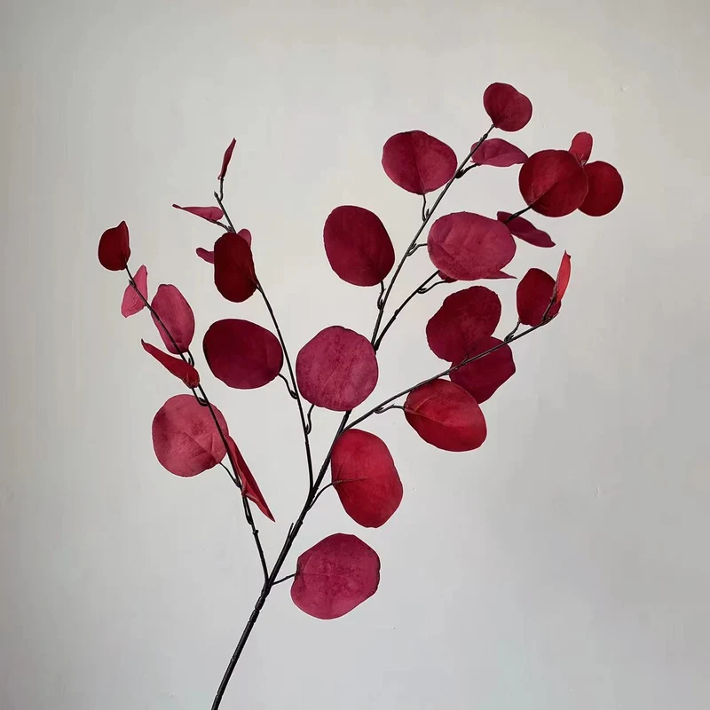 Decorative Eucalyptus Stem