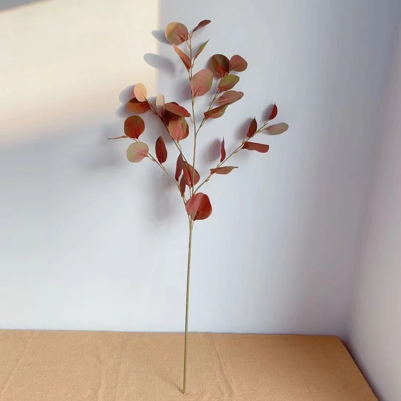 Decorative Eucalyptus Stem