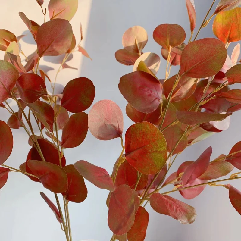 Decorative Eucalyptus Stem