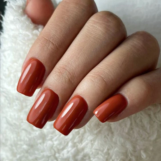 Premium Glossy Nail Extensions Stornfield
