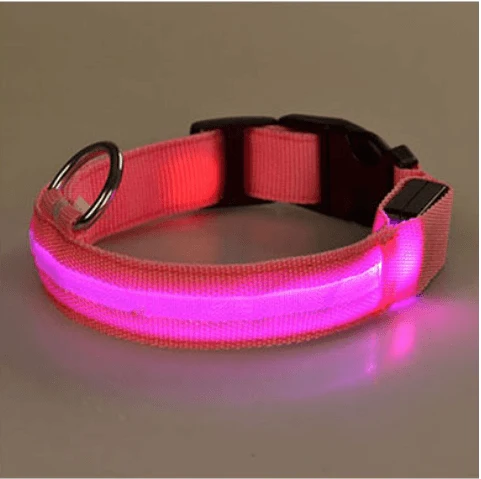 Hundehalsbånd med LED-lys | Luvikno