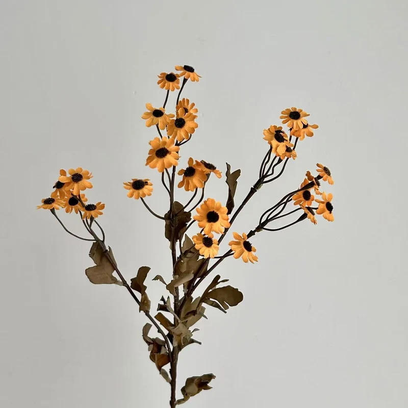 Decorative Dried Flowers