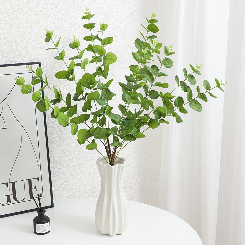 Decorative Plants