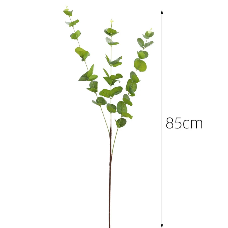 Decorative Plants