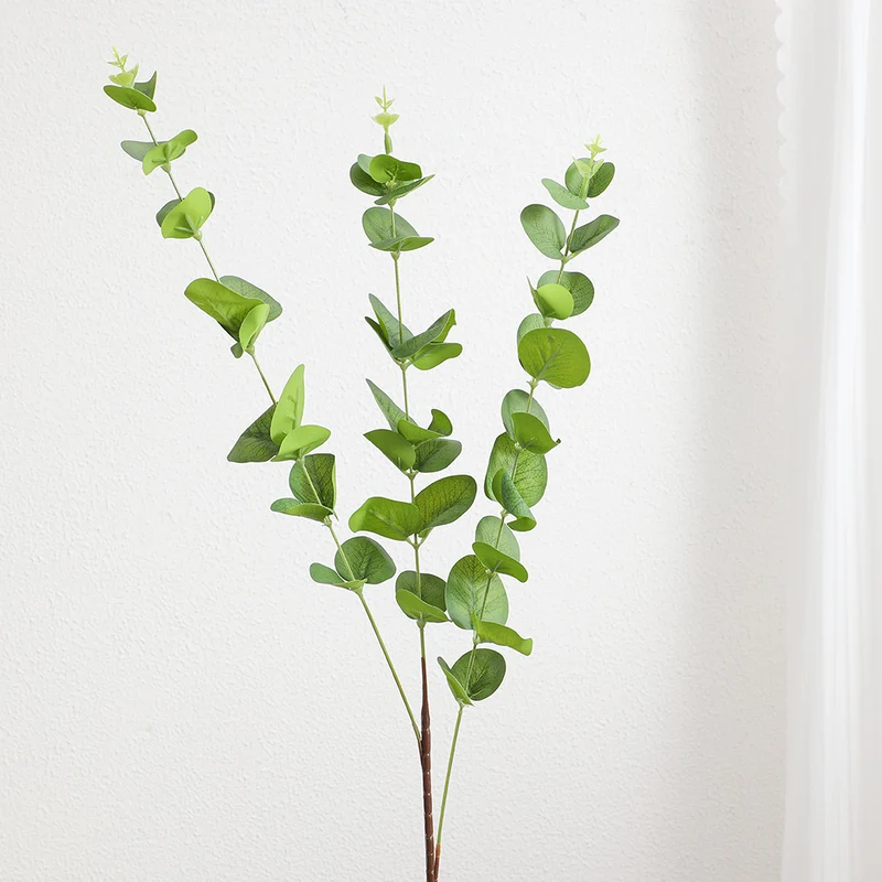 Decorative Plants