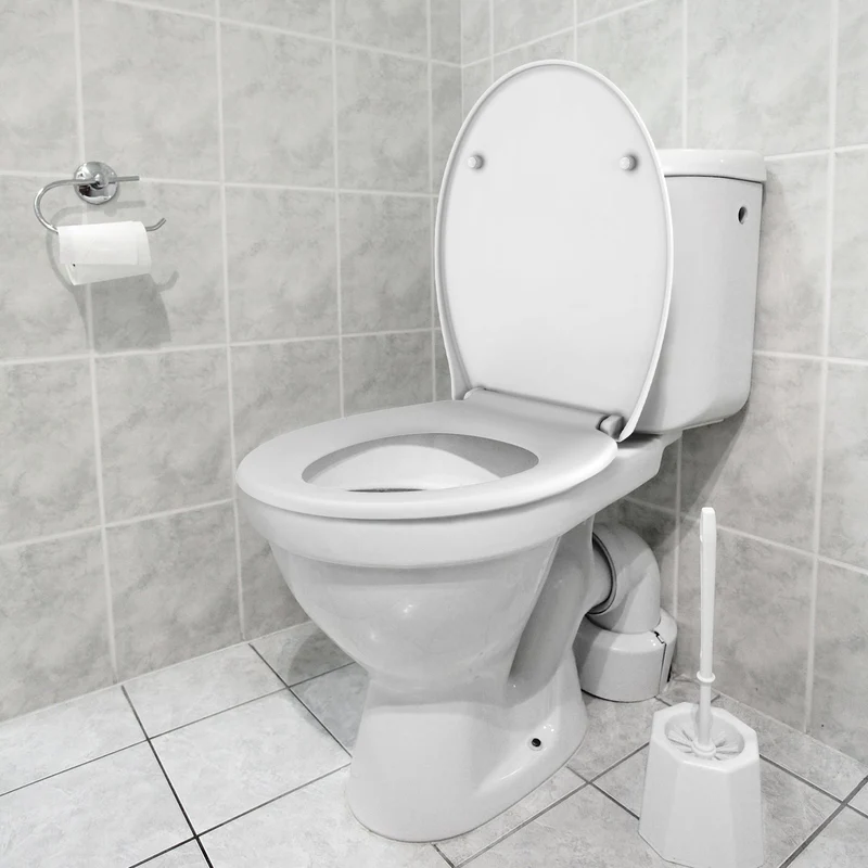 Sedile WC Garvee con meccanismo di chiusura ammortizzata, funzione di sgancio rapido, ovale, bianco, antibatterico, facile installazione