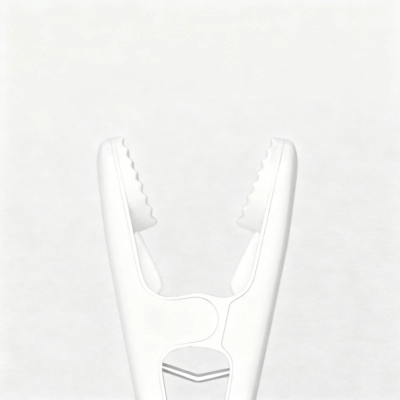 Plastic clothes pegs, set of 12