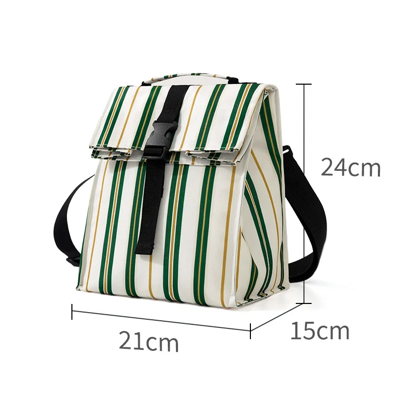 Insulated Water-Resistant Lunch Carrier