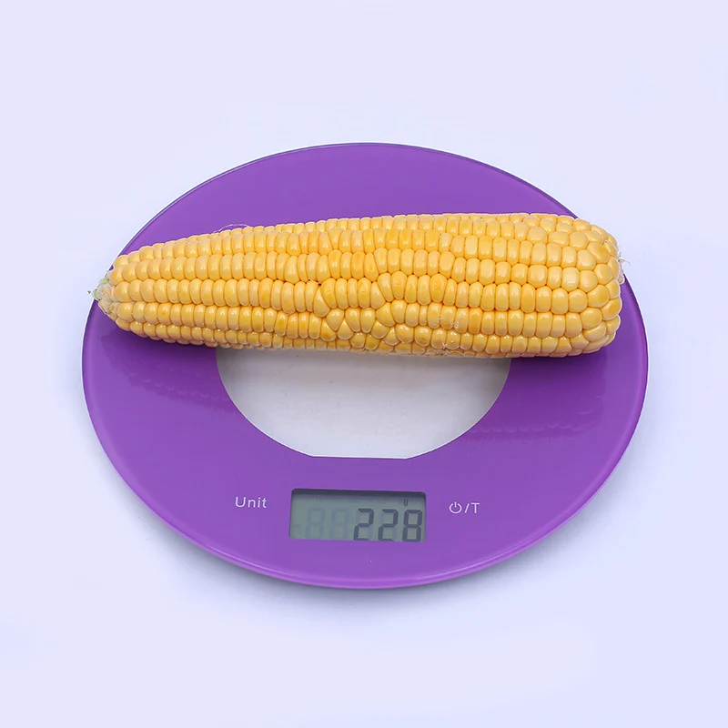 Digital Kitchen Scale