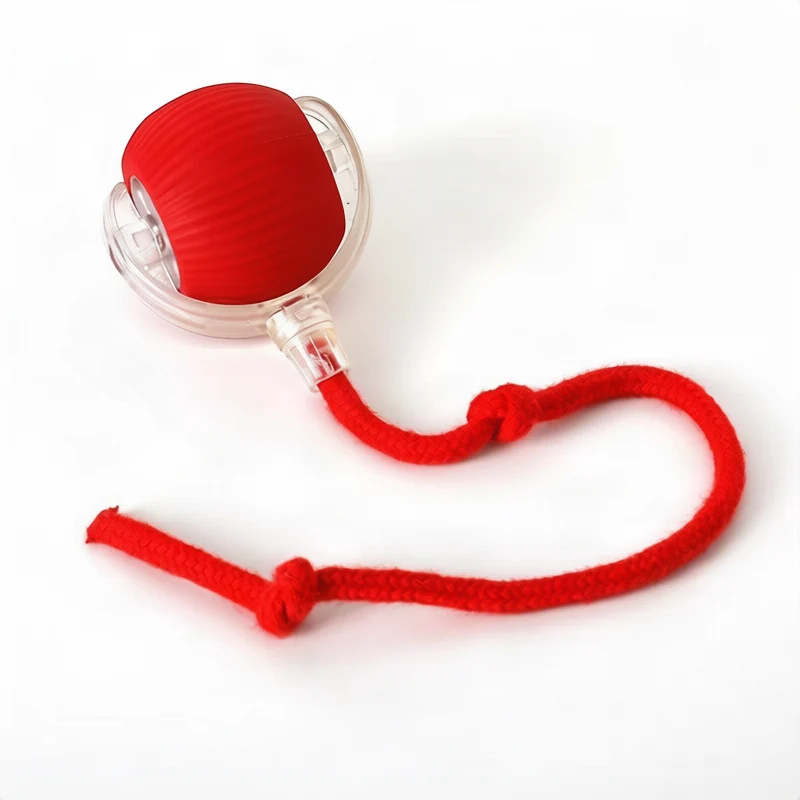 Interaktiver Spielball für Katzen aus Silikon