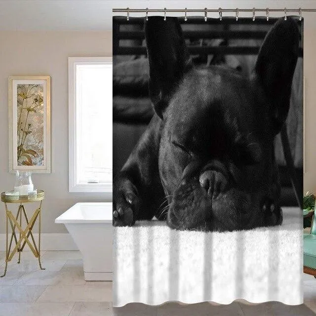 Duschvorhang französische Bulldogge schwarzweiß Foto