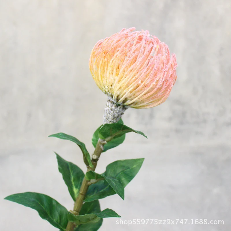 Realistische Protea-Blumenstiel