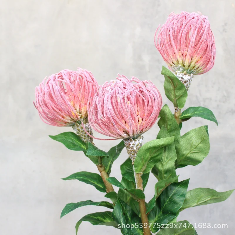 Realistische Protea-Blumenstiel