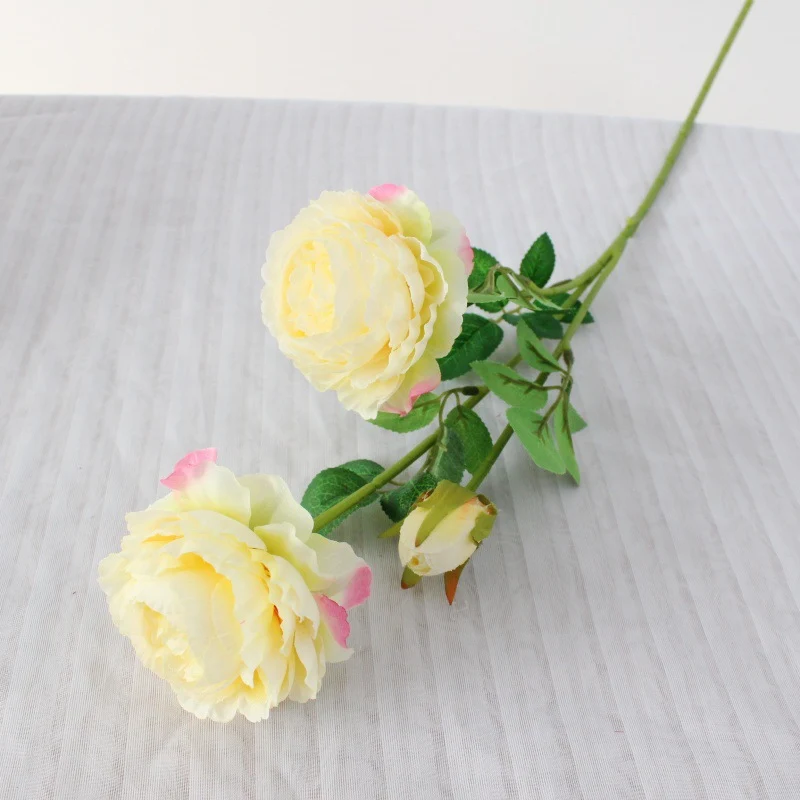 Realistische Pfingstrosenblüte Stem