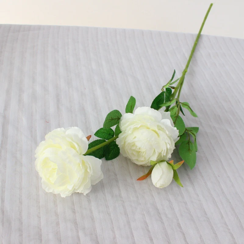 Realistische Pfingstrosenblüte Stem