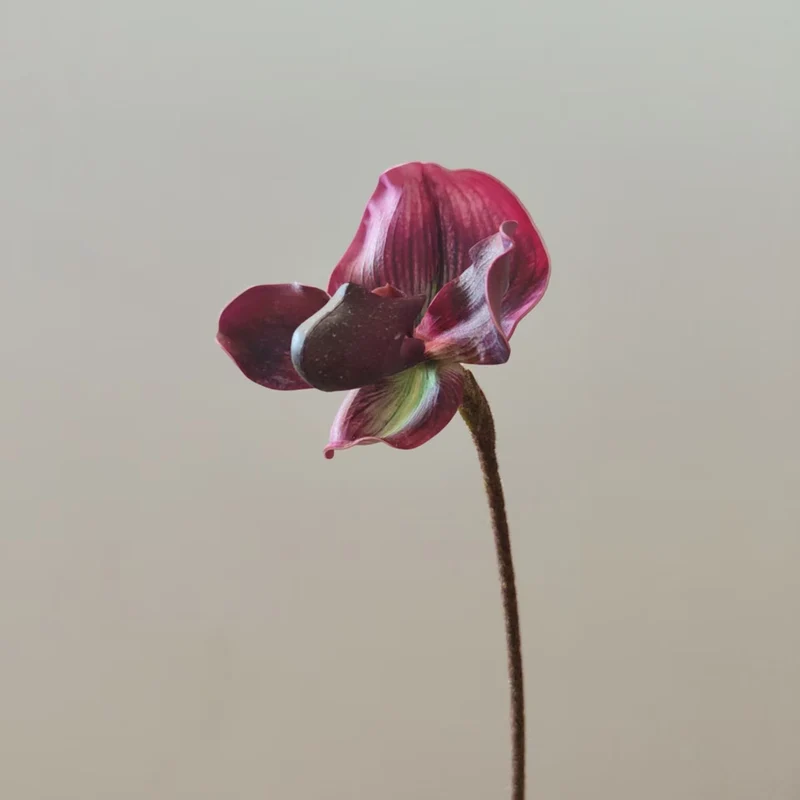 Realistische Orchideenstamm-Vase Dekoration