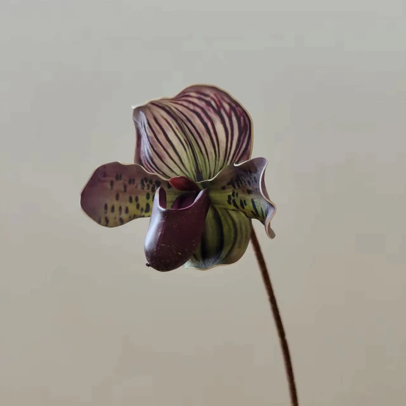 Realistische Orchideenstamm-Vase Dekoration