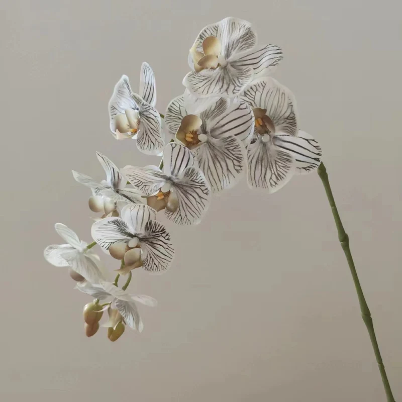 Realistische Orchideenblütenstängel