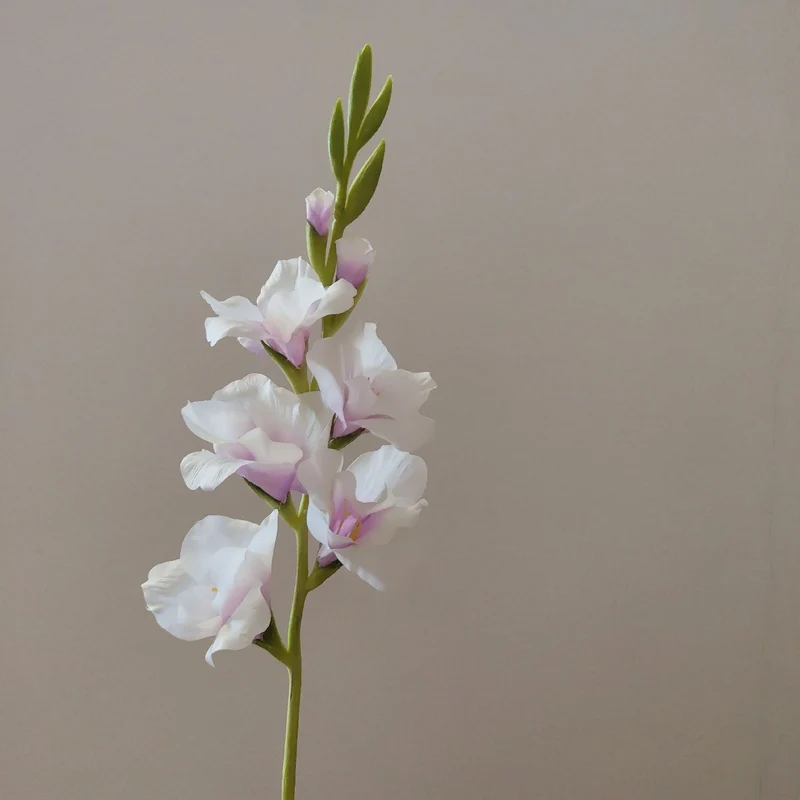 Orchideenblütenstiel