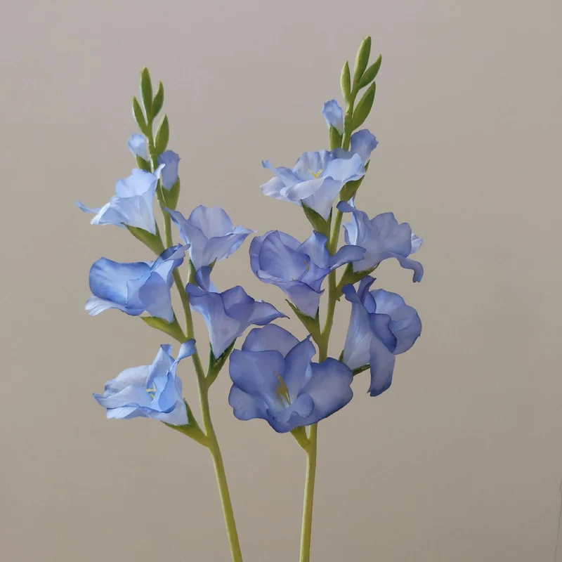 Orchideenblütenstiel