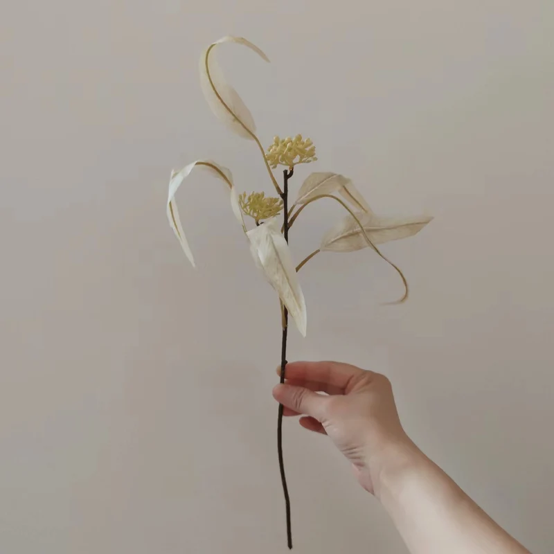 Natürlich getrockneter Blumenstiel