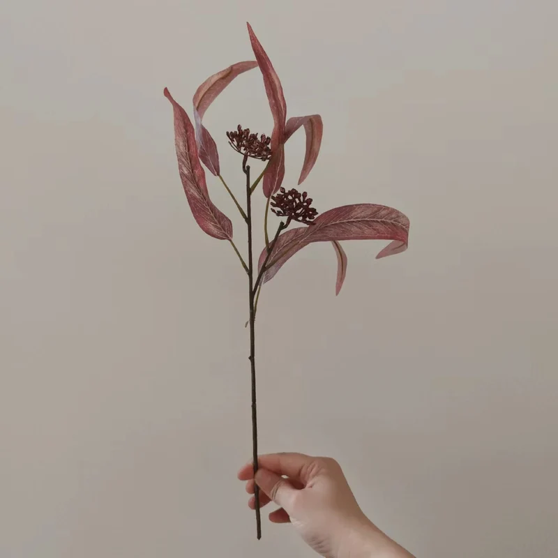 Natürlich getrockneter Blumenstiel