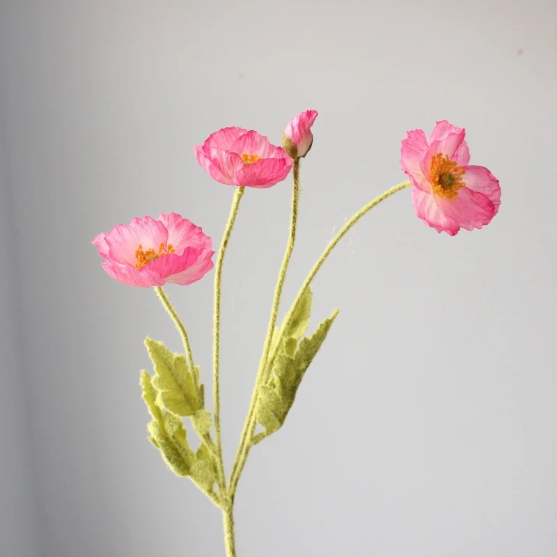 Lebensechte Mohnblumenstiel