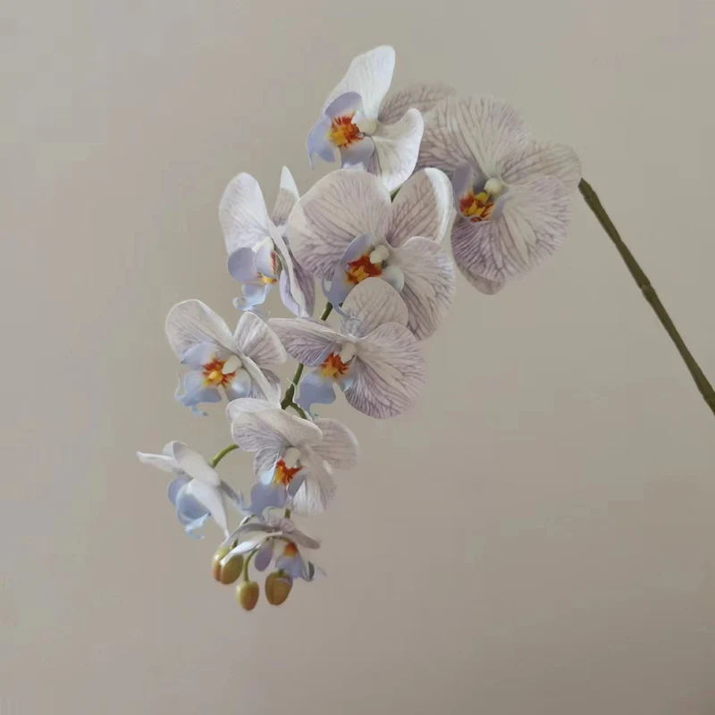 Lebensnahe Orchideenblüten-Ranke