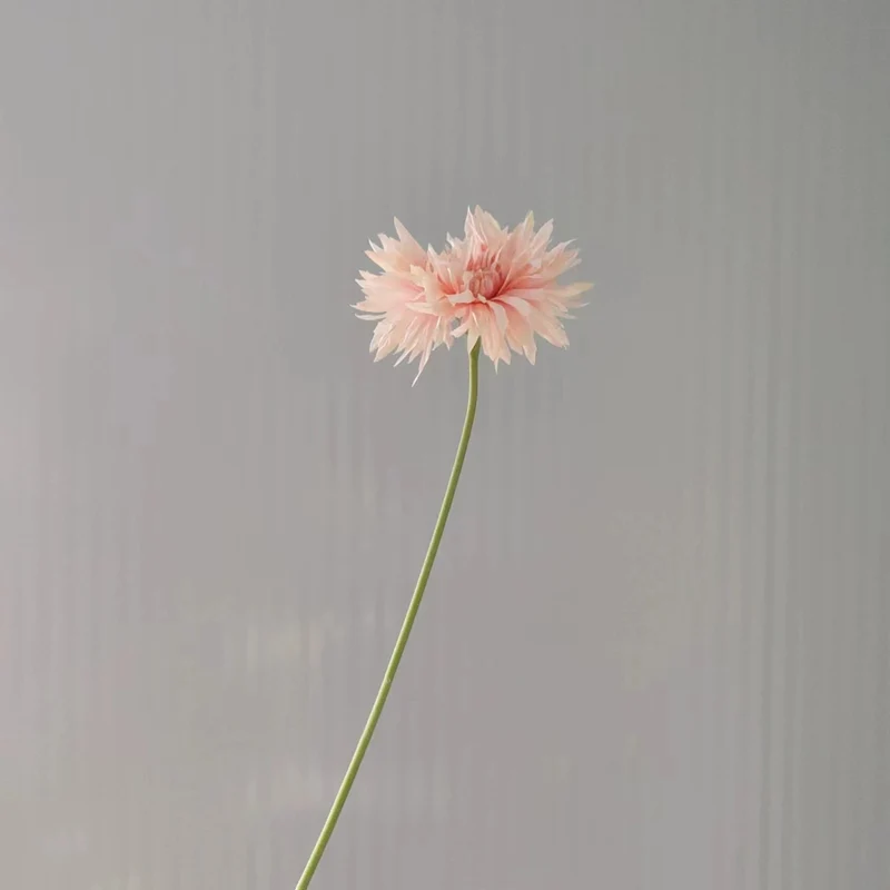 Lebensnahe dekorative Gerbera-Blumenstiel