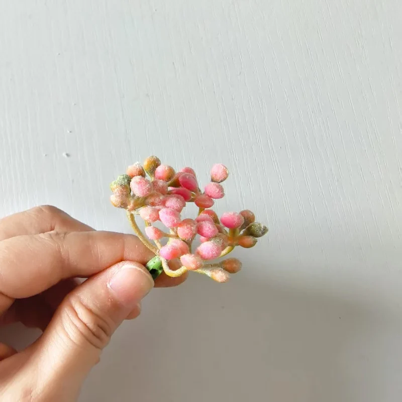Zarte Blumenknospenstängel