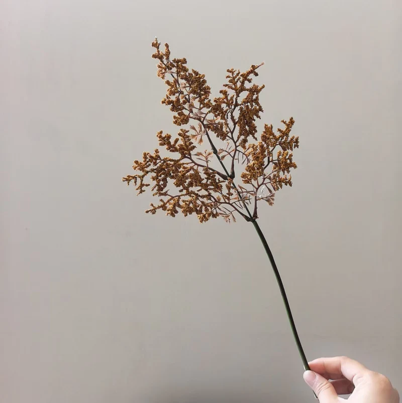 Zarte getrocknete Blumenstielanordnung