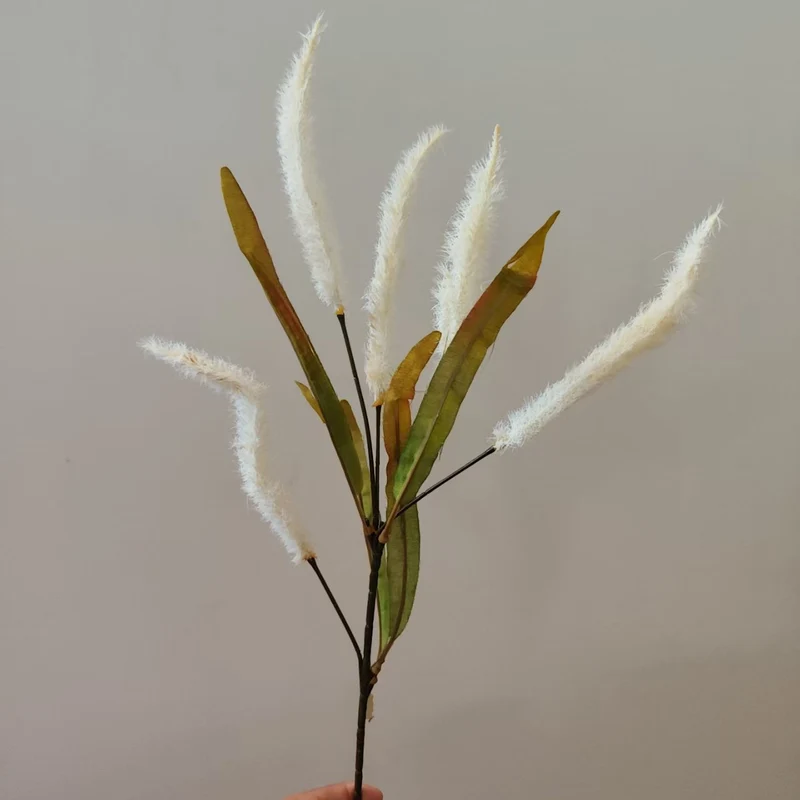 Dekorative Pampasgras-Stängel