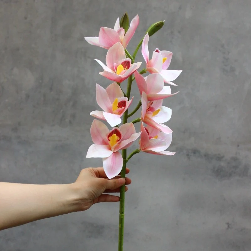 Dekorative Orchidee
