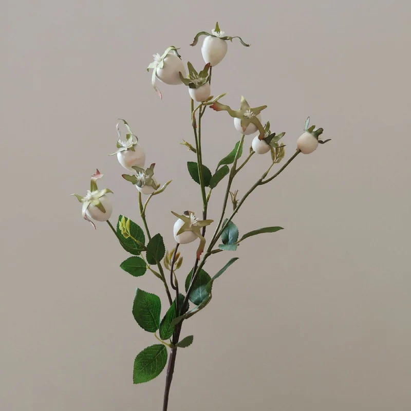 Dekorativer natürlicher getrockneter Blumenstiel