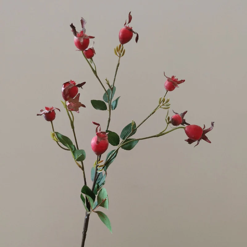 Dekorativer natürlicher getrockneter Blumenstiel