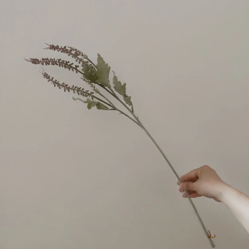 Dekorative Grünpflanze Floralstamm