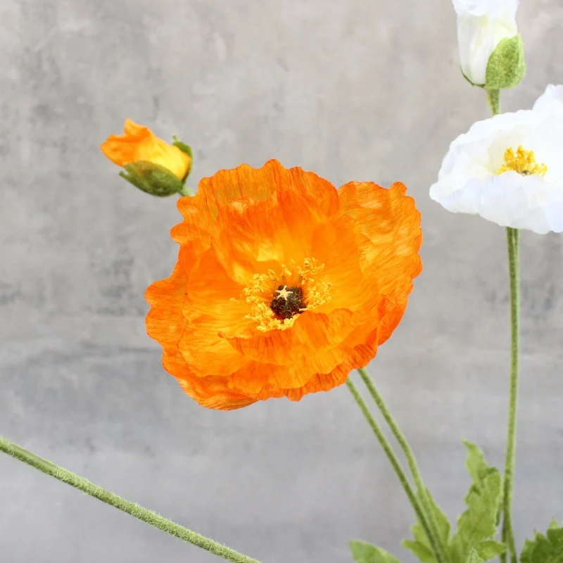 Elegante dekorative florale Akzent