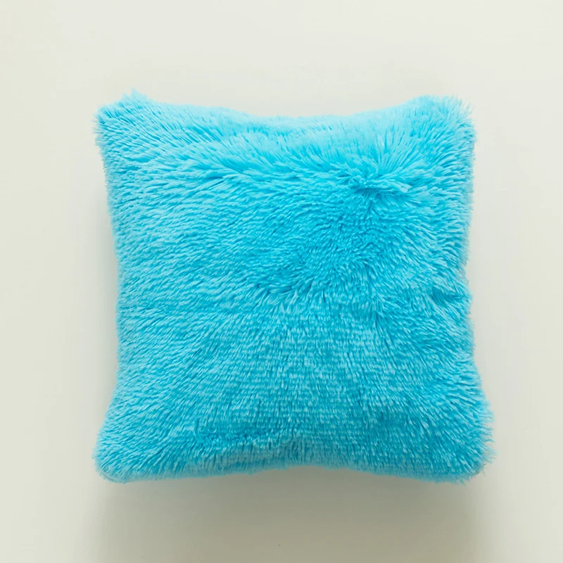 Plush Soft Texture Decorative Cushion