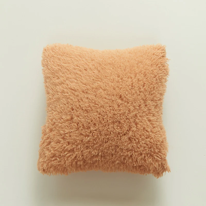 Plush Soft Texture Decorative Cushion