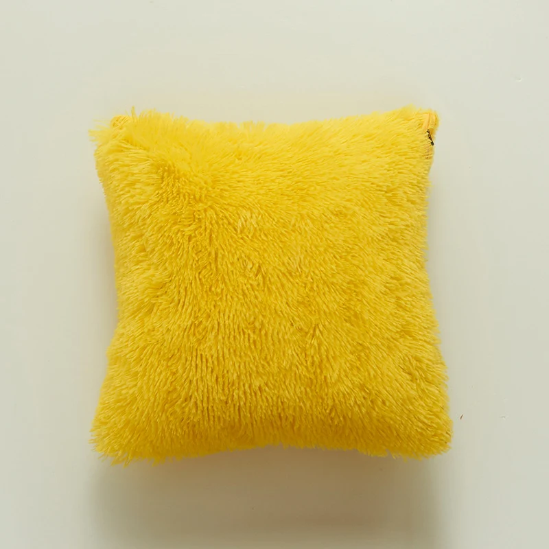 Plush Soft Texture Decorative Cushion